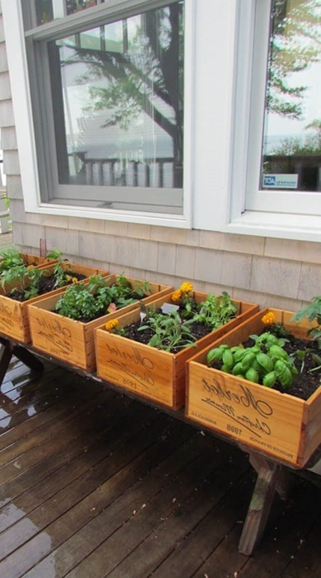 Raised Bed Hillside Kitchen Garden