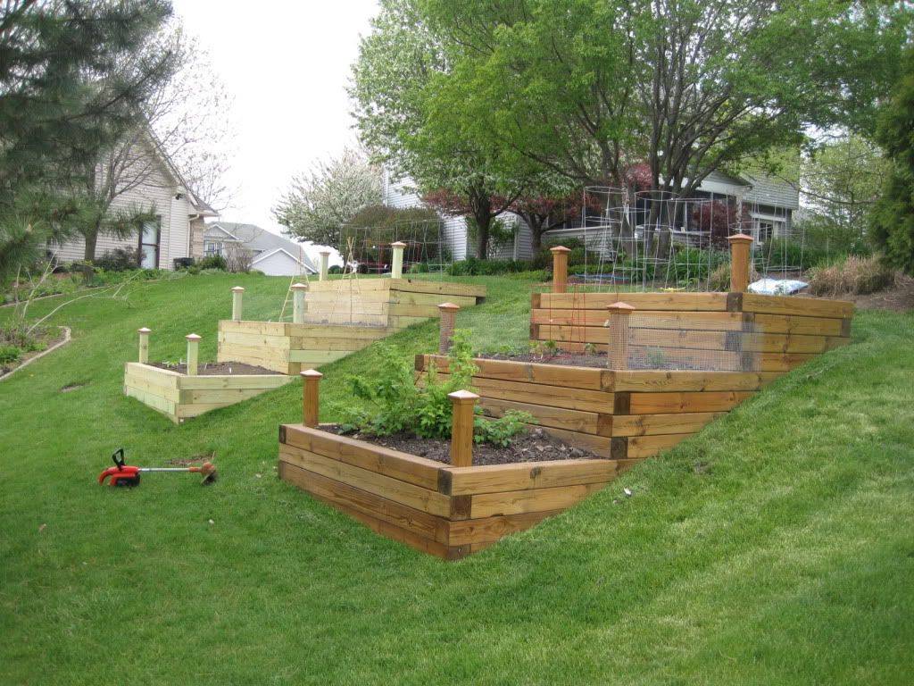 A Slope Vegetable Garden