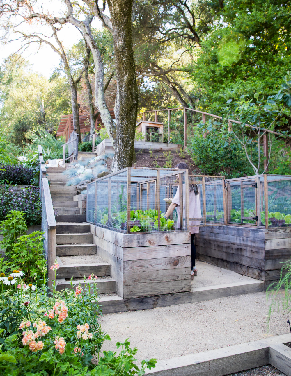 Hillside Garden Beds