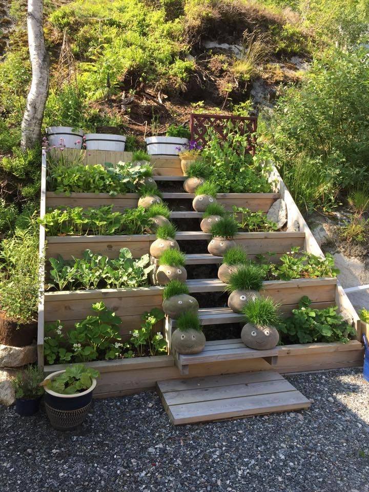 A Sloped Yard Hillside Landscaping