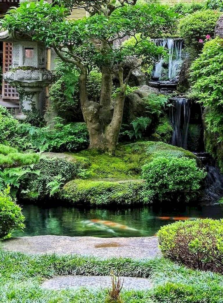 Beautiful Backyard Ponds