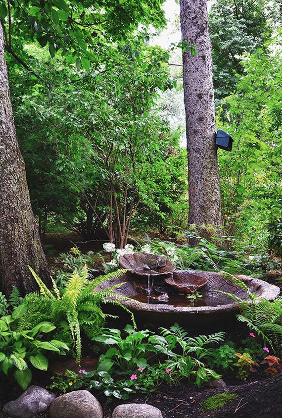Most Popular Pond And Water Garden Ideas