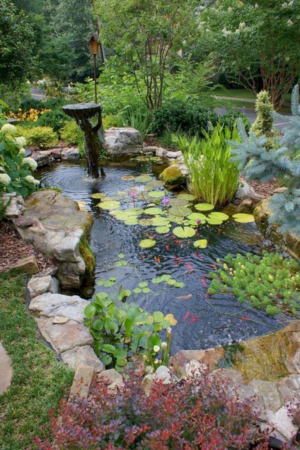Garden Pond