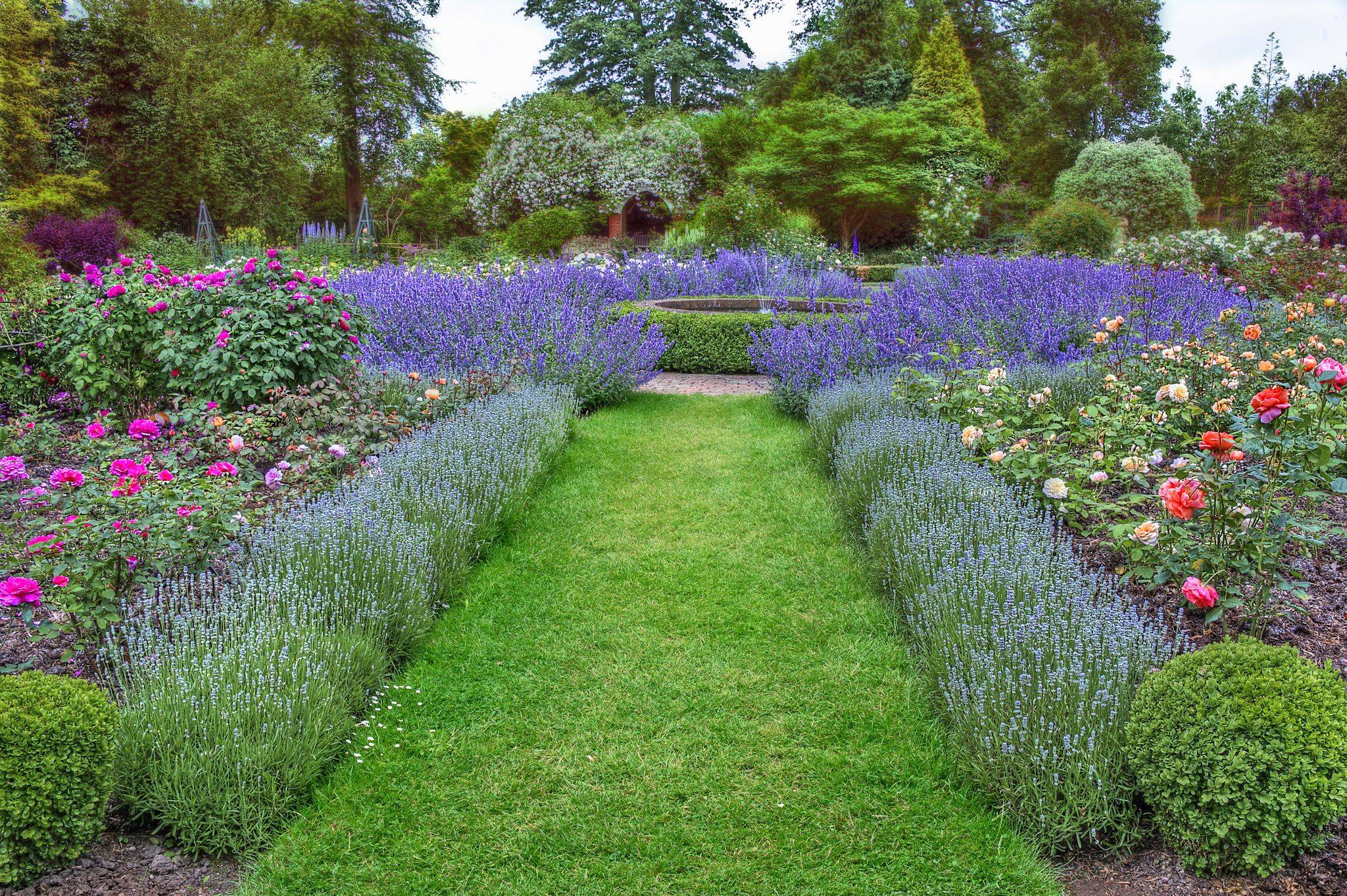 Low Maintenance Landscape Front Yard Lavenderfront