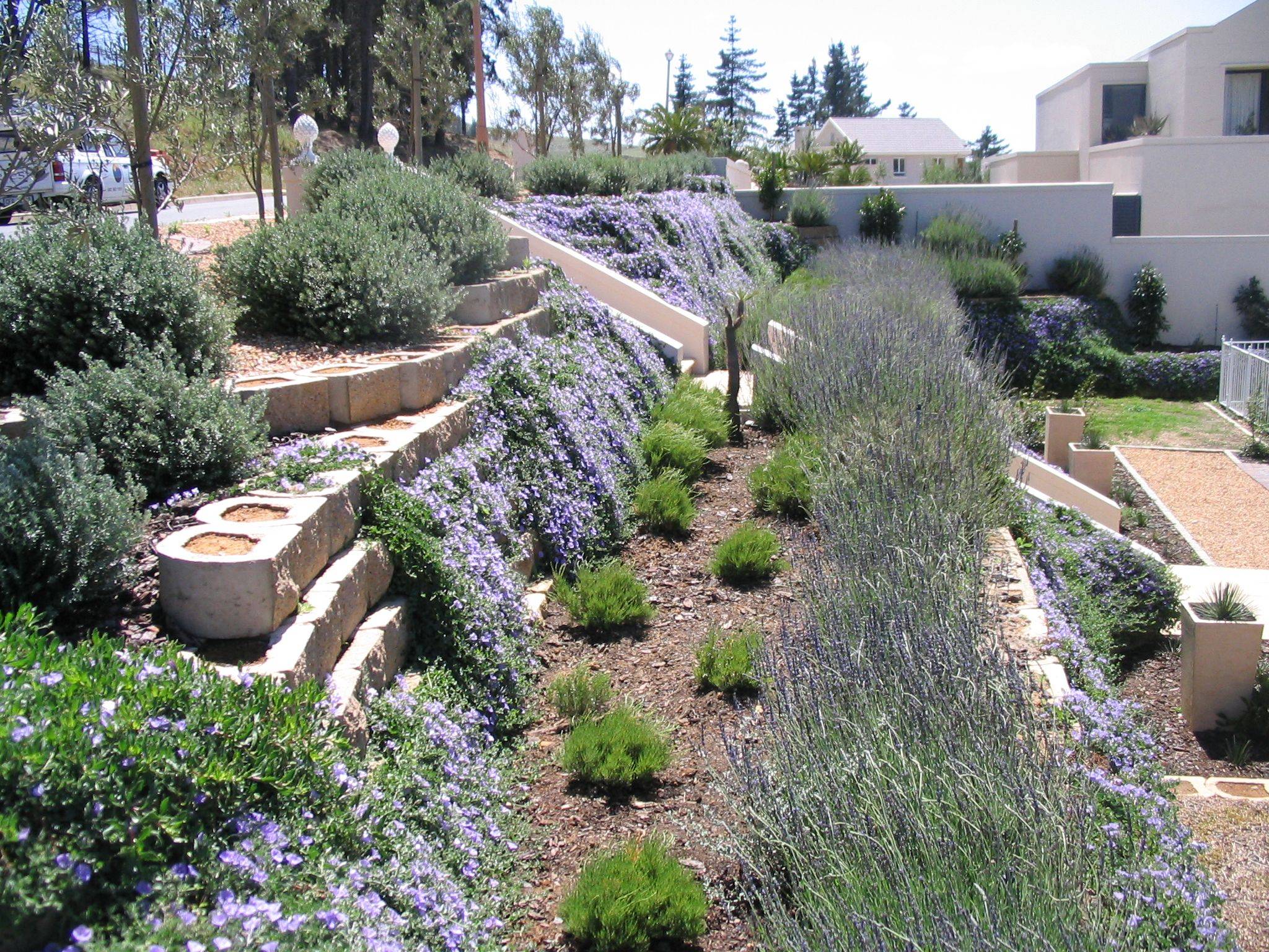 Backyard Landscape Design