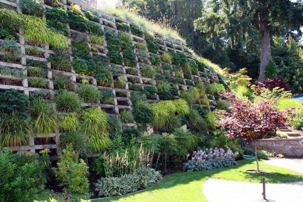 Landscape Gardening Norfolk