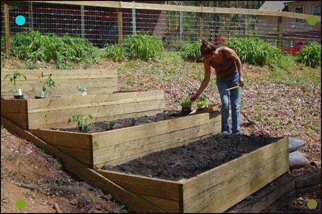Kelly Sieckhaus Raised Garden Bed Sloped Garden Building Raised