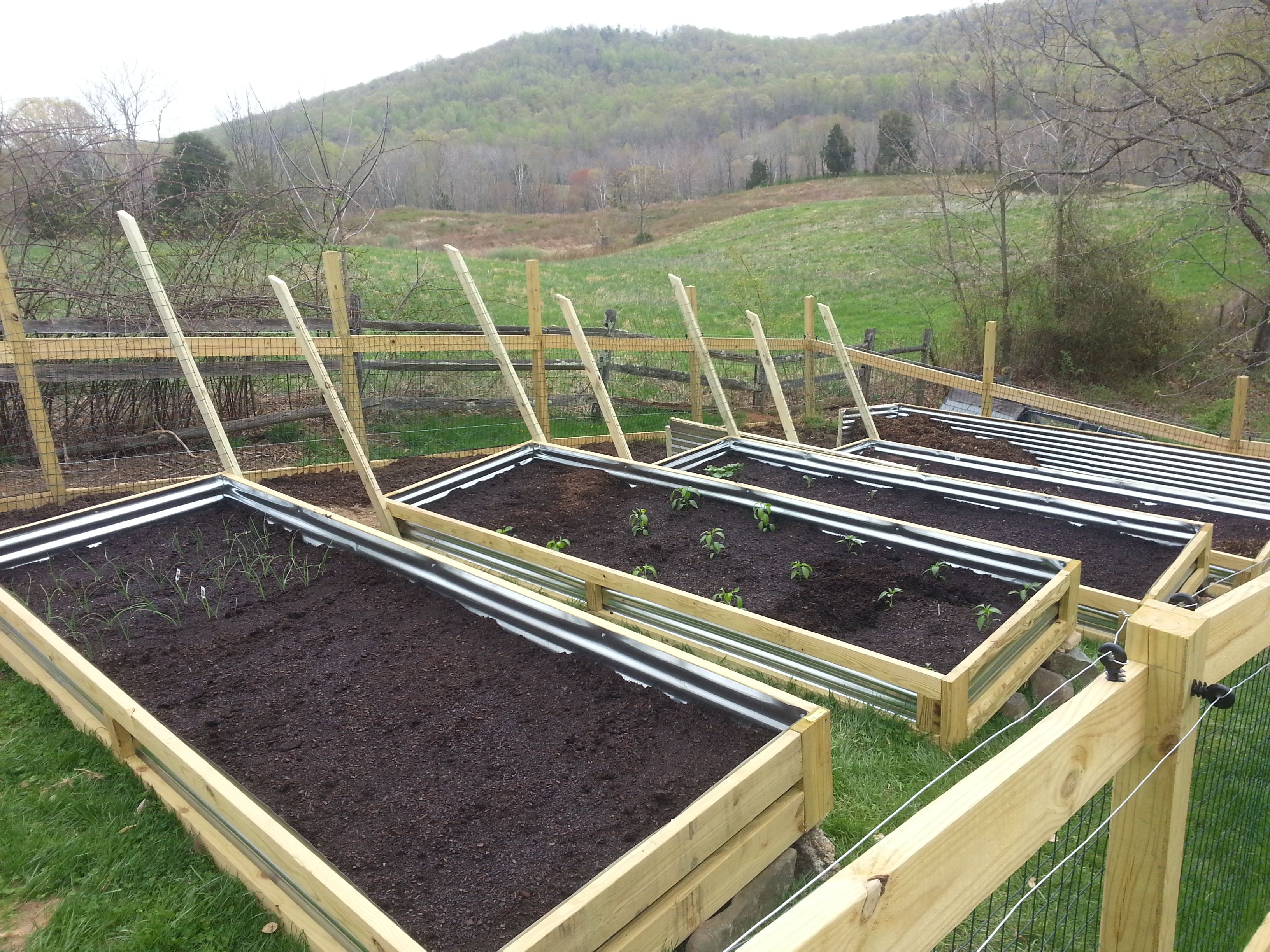 Classic Raised Bed Garden Design