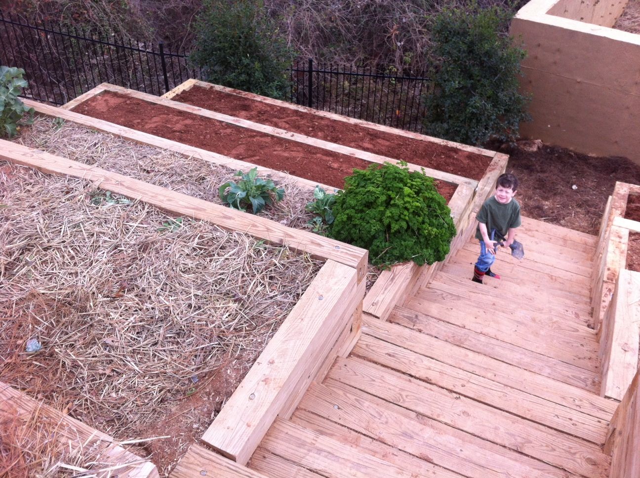 Hillside Garden Beds