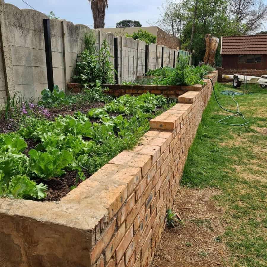 A Raised Garden Bed
