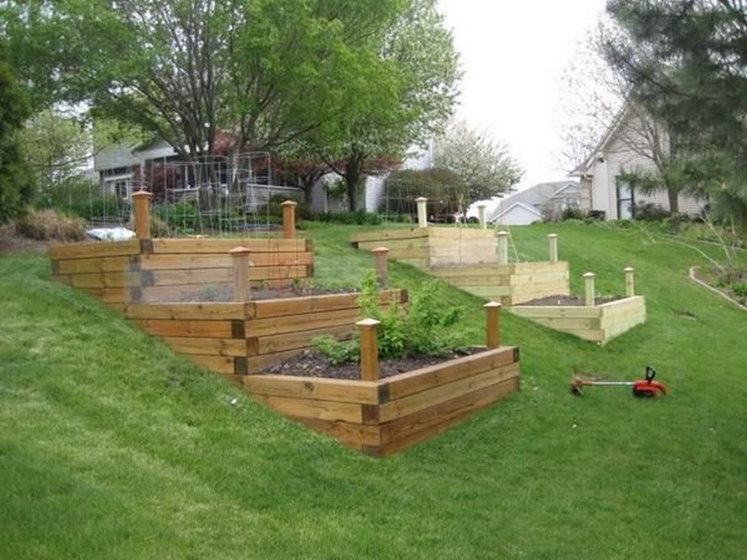 A Raised Vegetable Garden Bed
