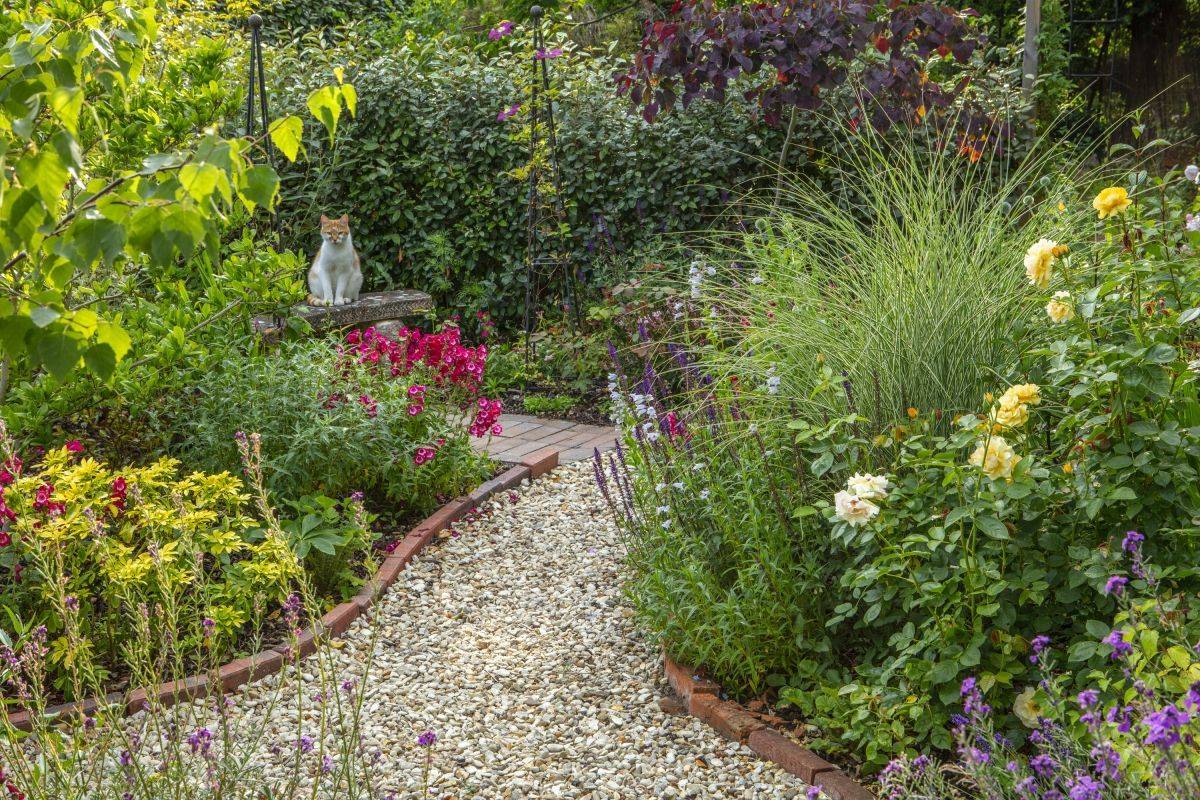 Related Image Sloped Garden
