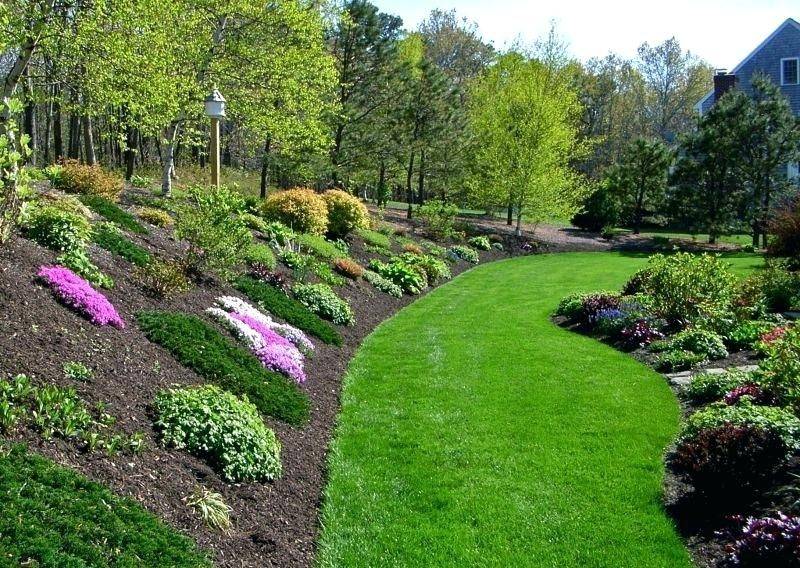 Steep Hillside Cnkx Https