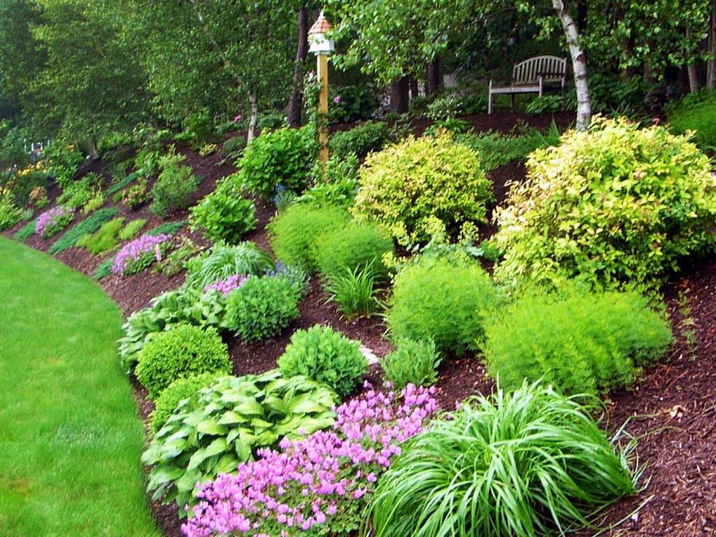 Big Front Yard Landscaping Ideas