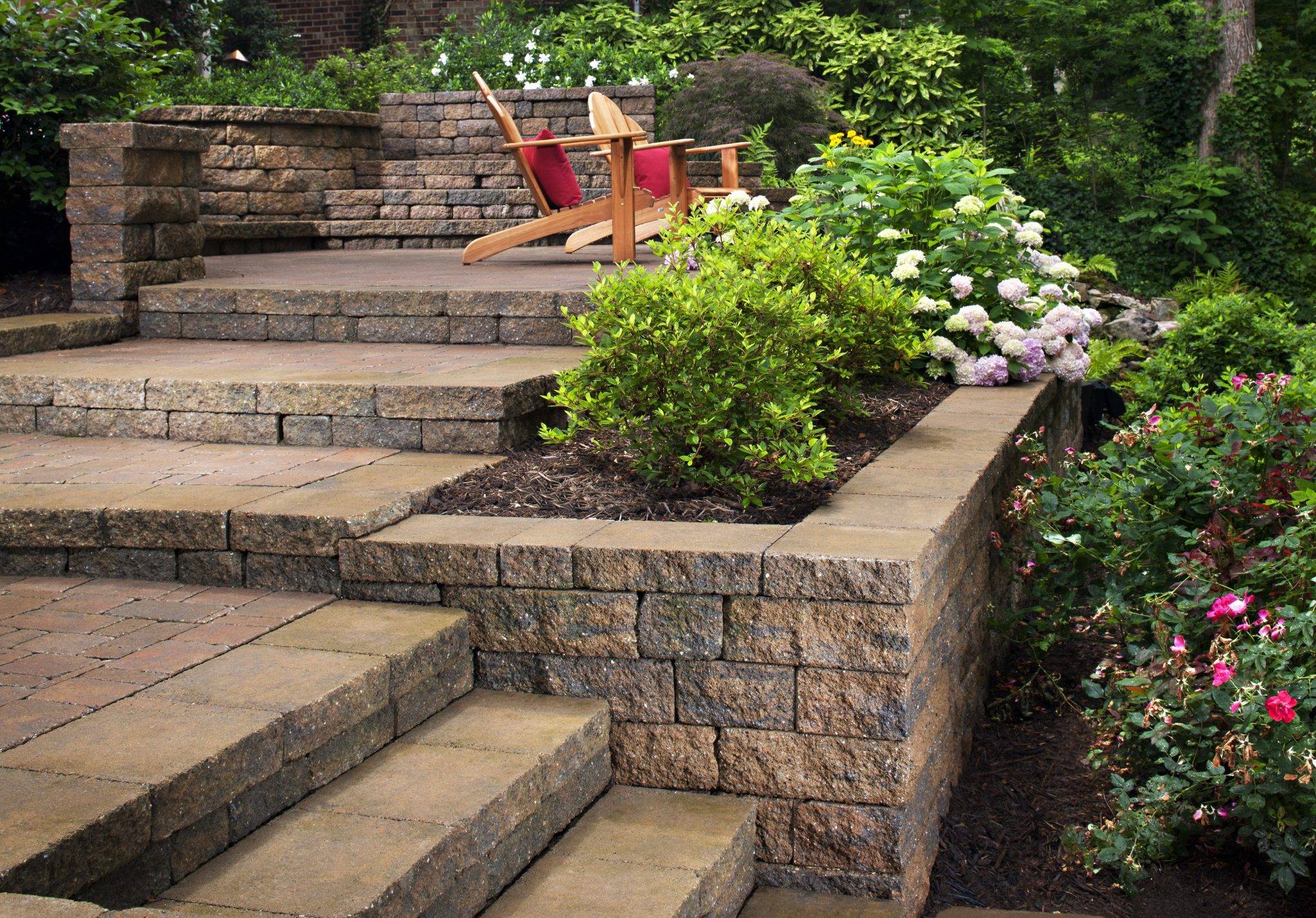 Native Drought Tolerant Plants