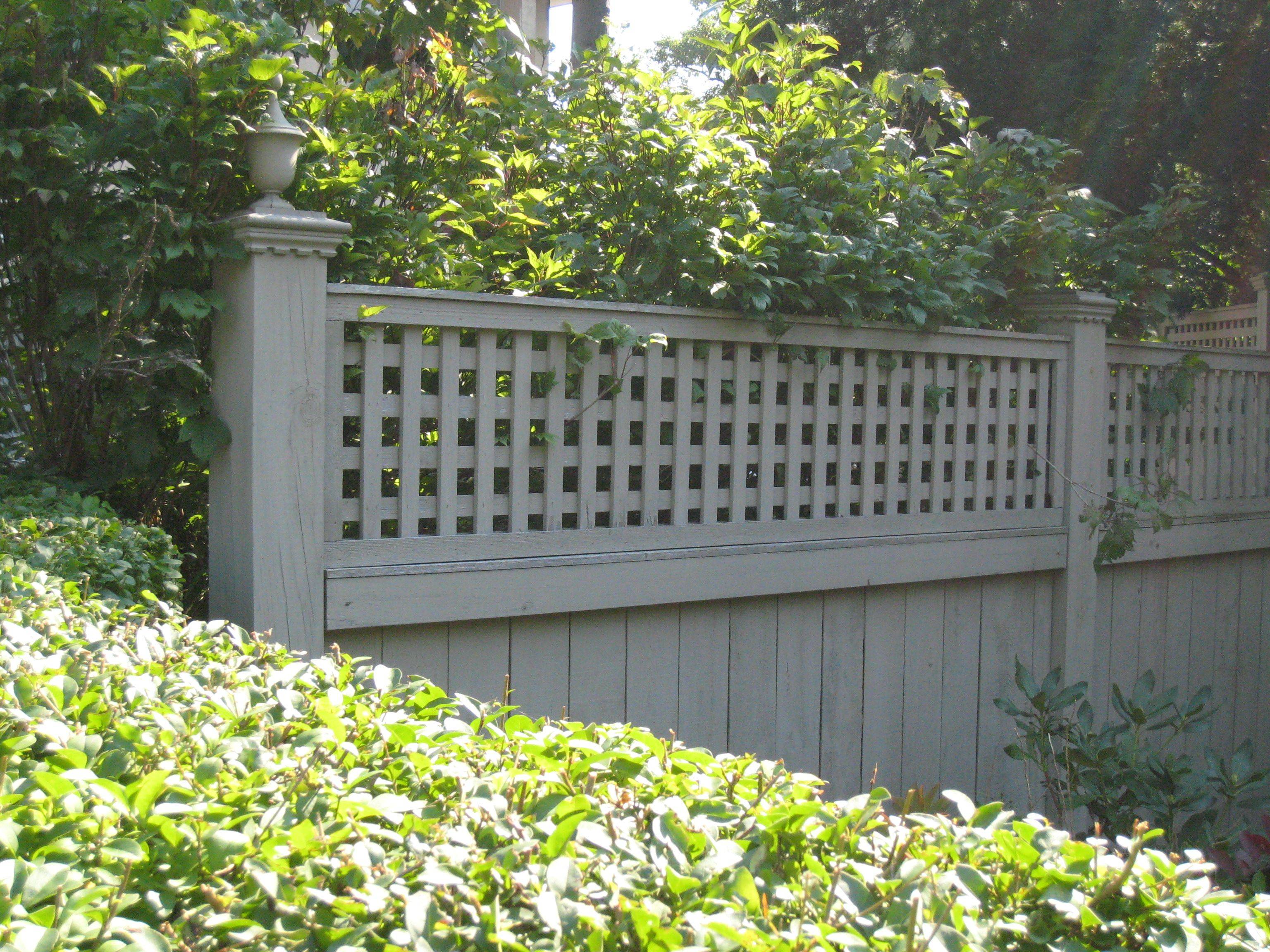 20 Garden Fence Colour Ideas For This Year SharonSable