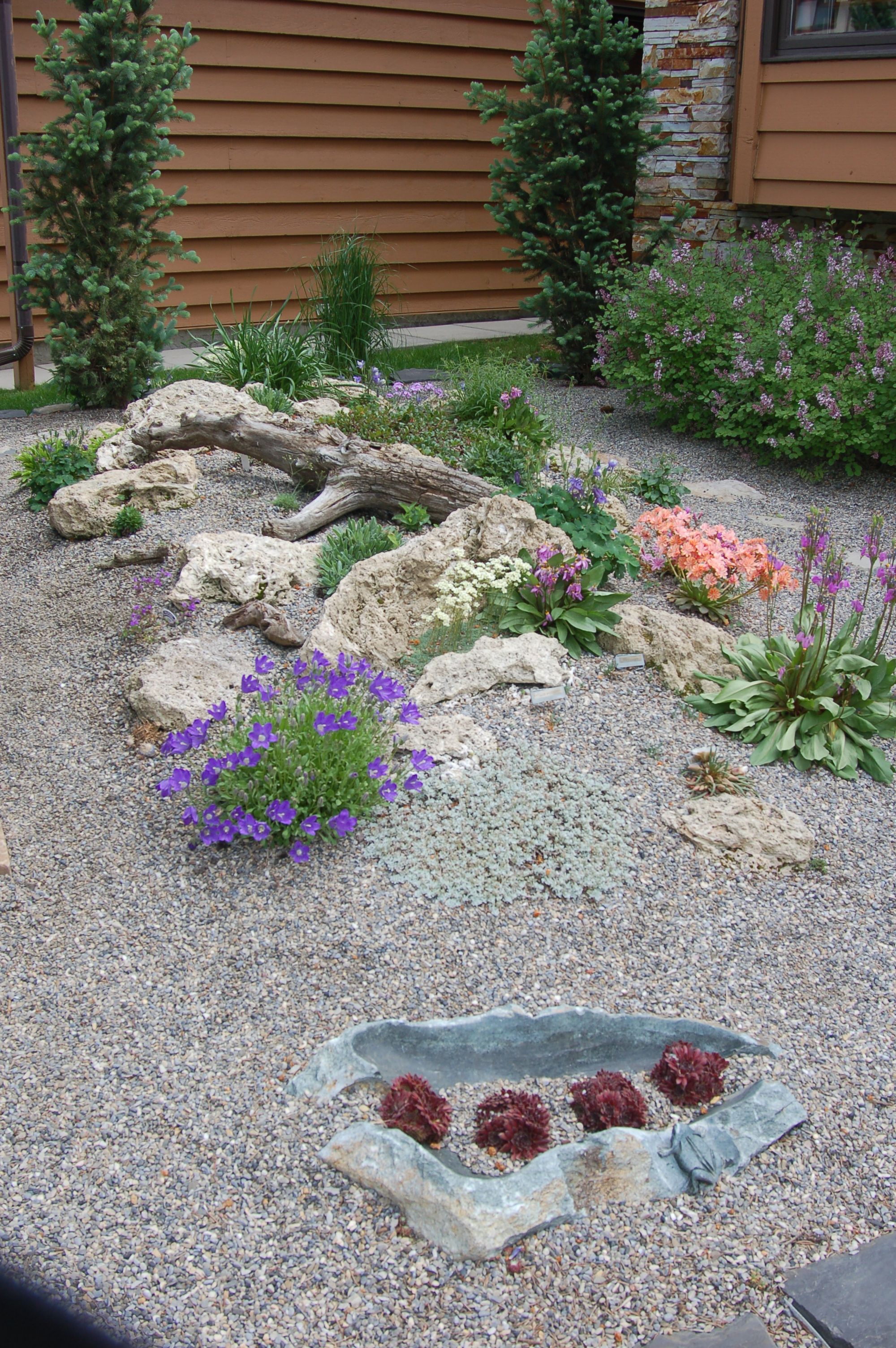 Pin On Landscaping Ideas