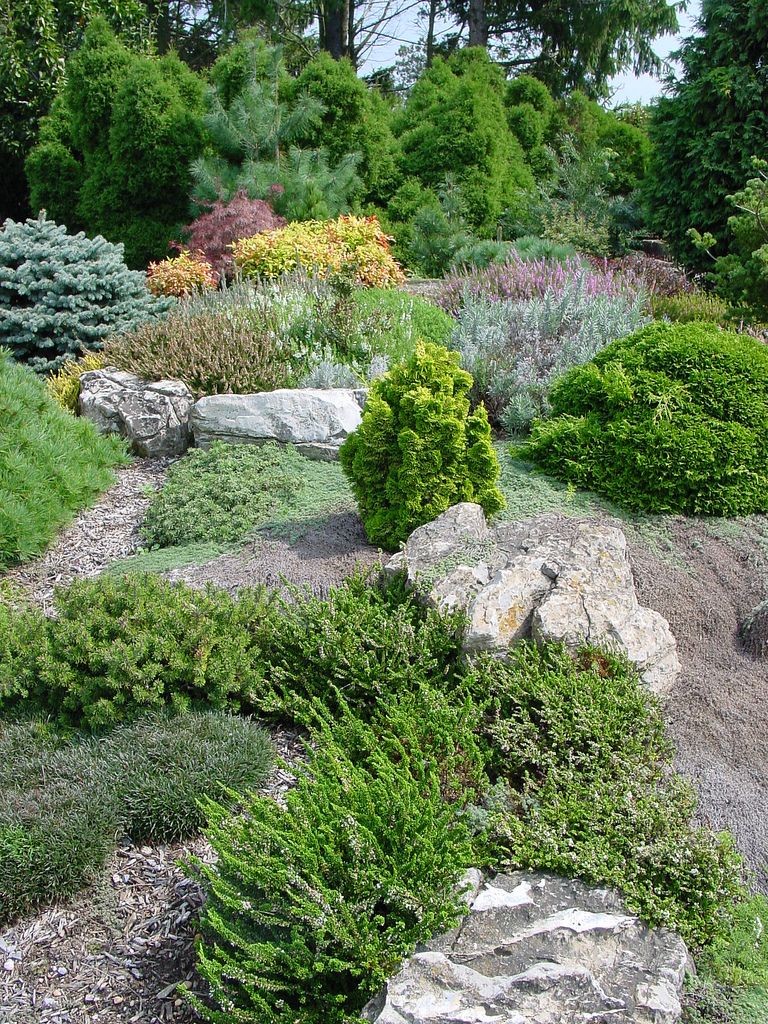 Rock Gardening Garden Chronicle