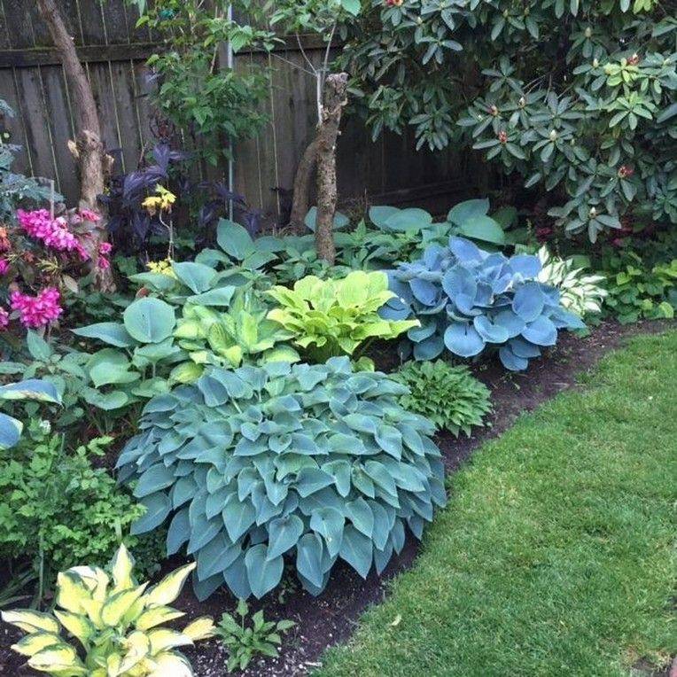 Great Shade Gardens Sunset Magazine