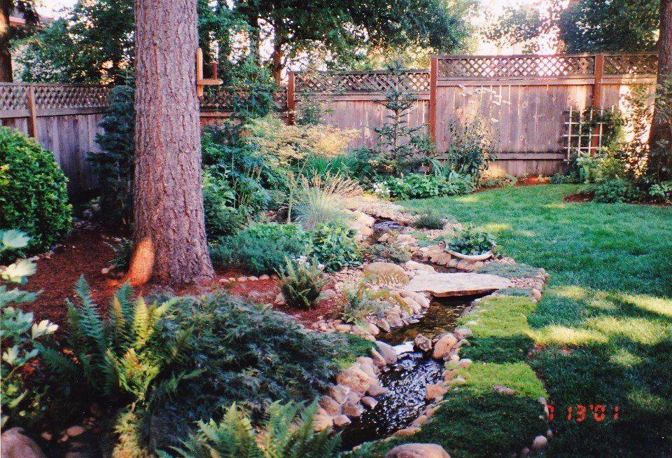 Landscaping Shrubs