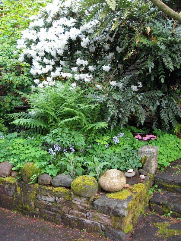 Gardens Backyards And Spring On Pinterest