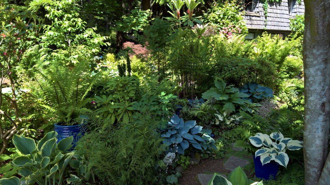 Pacific Northwest Evergreen Garden Landscaping Ideas