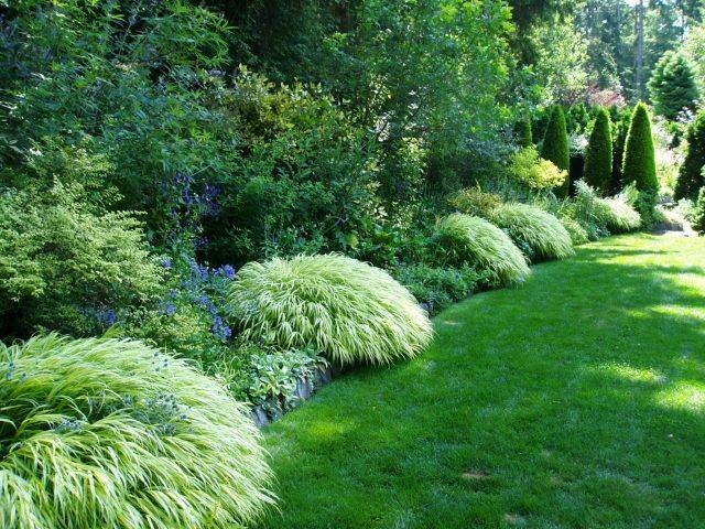 Pacific Northwest Garden Google Search Northwest Landscaping