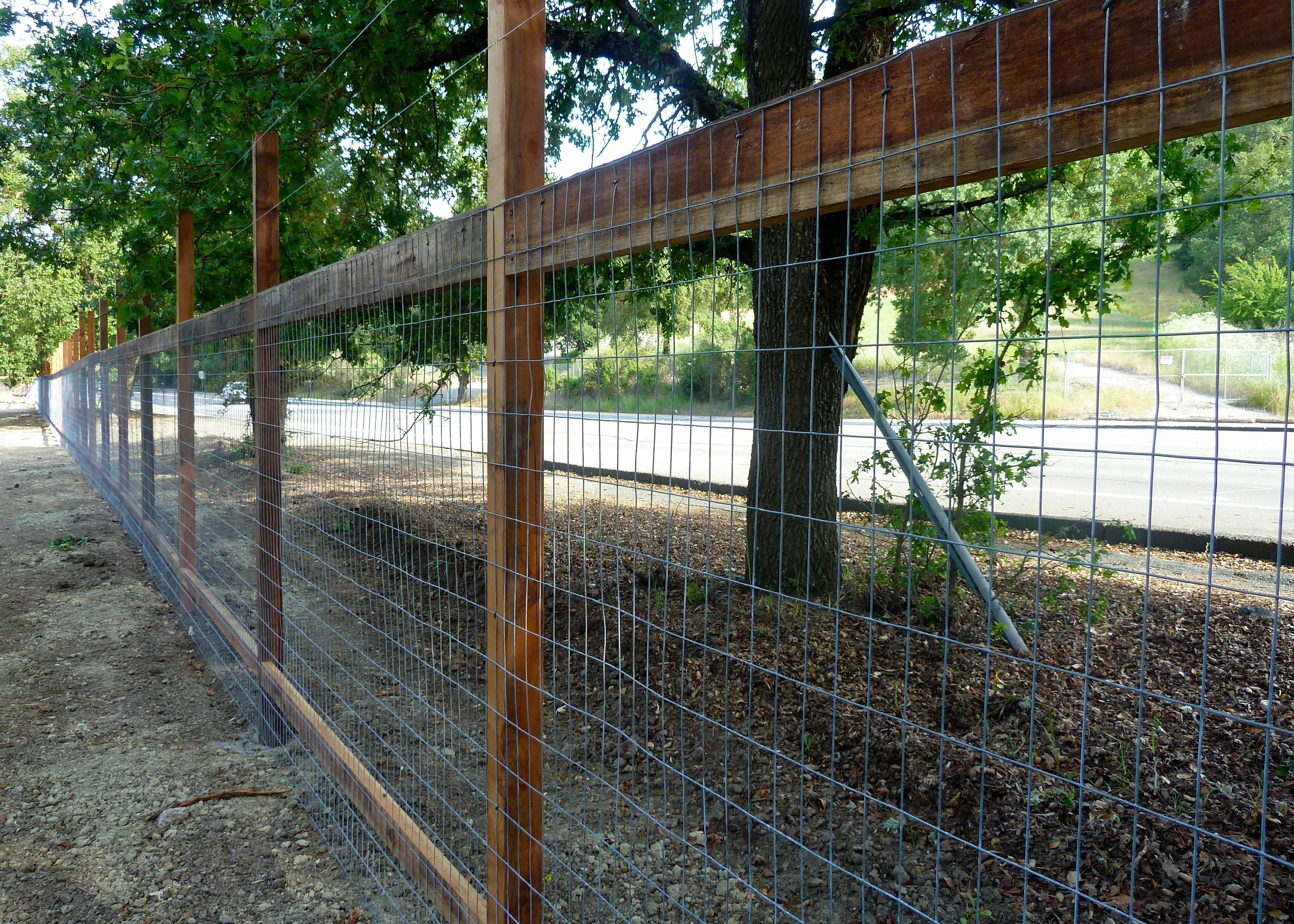 Craftsman Cattlepanel Deer Fence