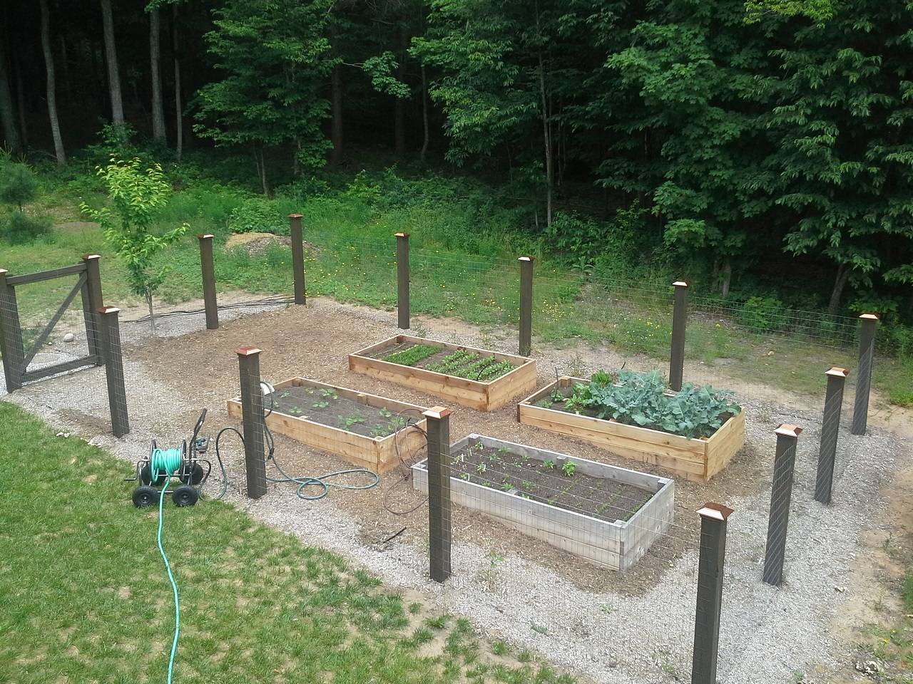 Oregon Fence Contractor Diy Garden Fence