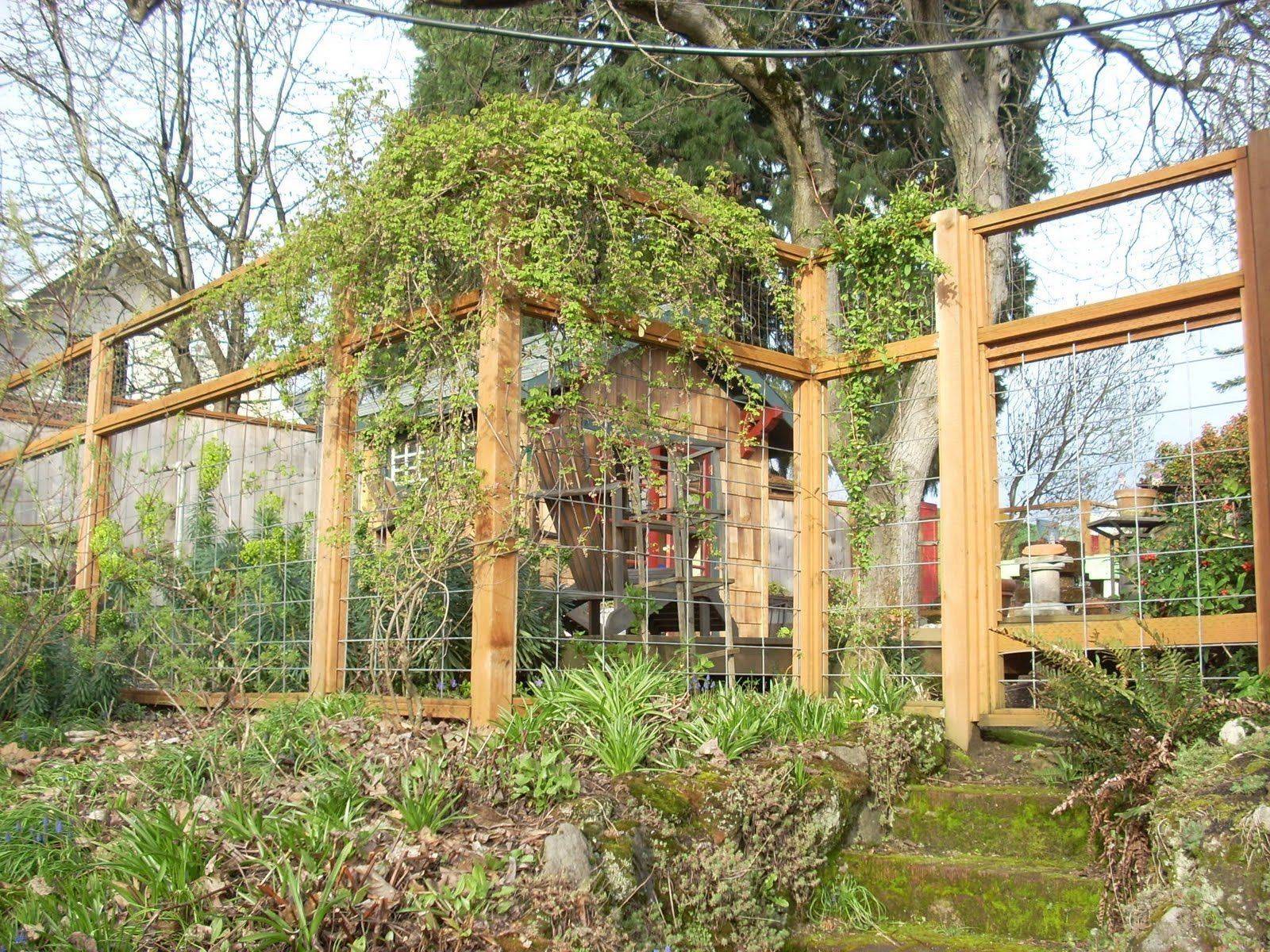 Our Deer Proof Garden
