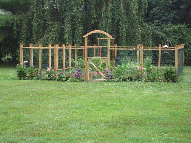 Our Deer Proof Garden