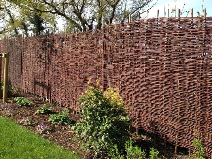 Posts Sdm Tree Services