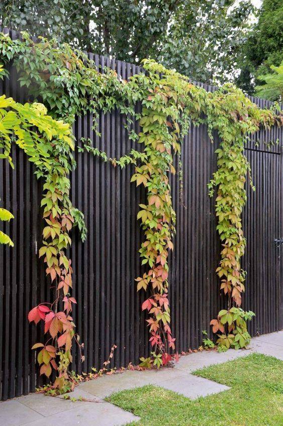 Awesome Black Garden Fences Design