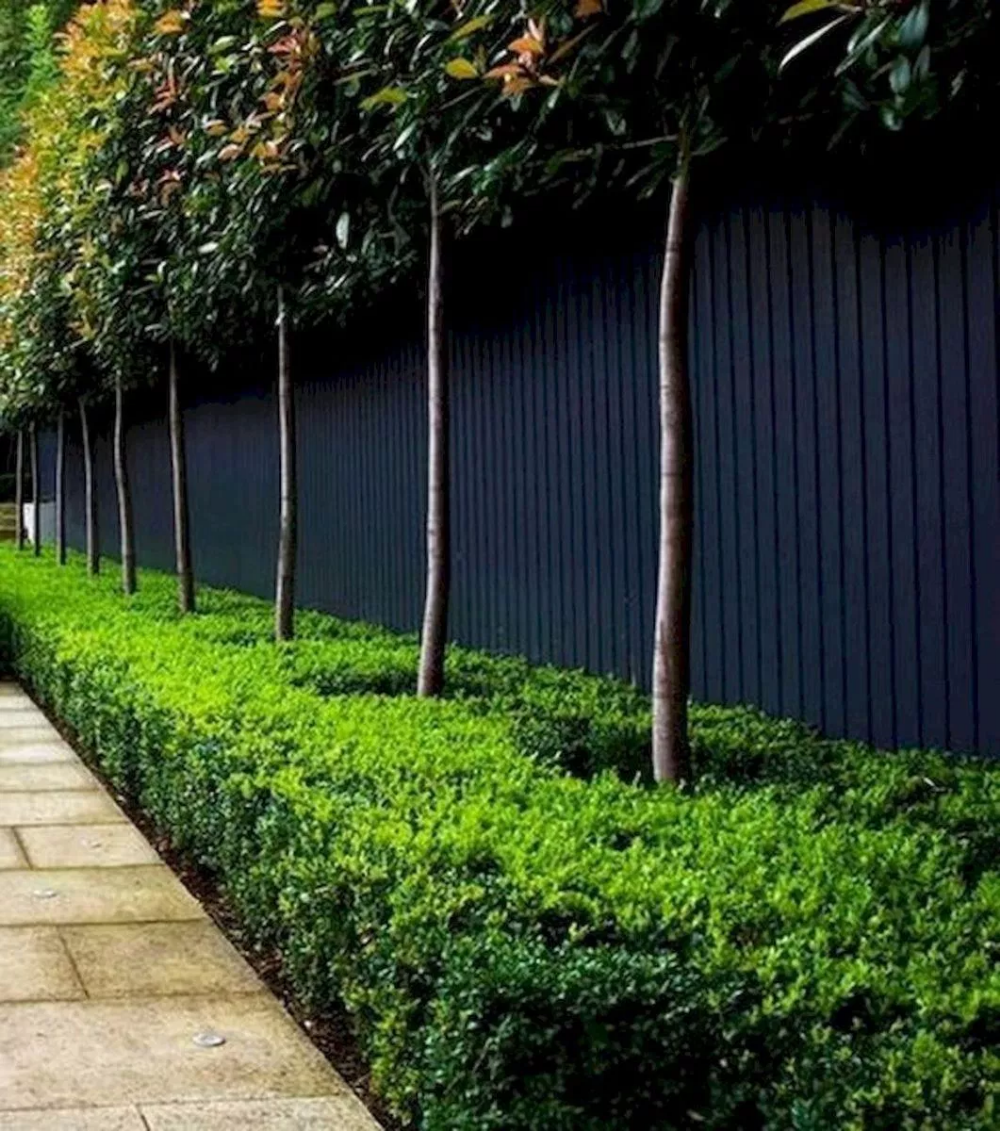 Black Fence Ideas
