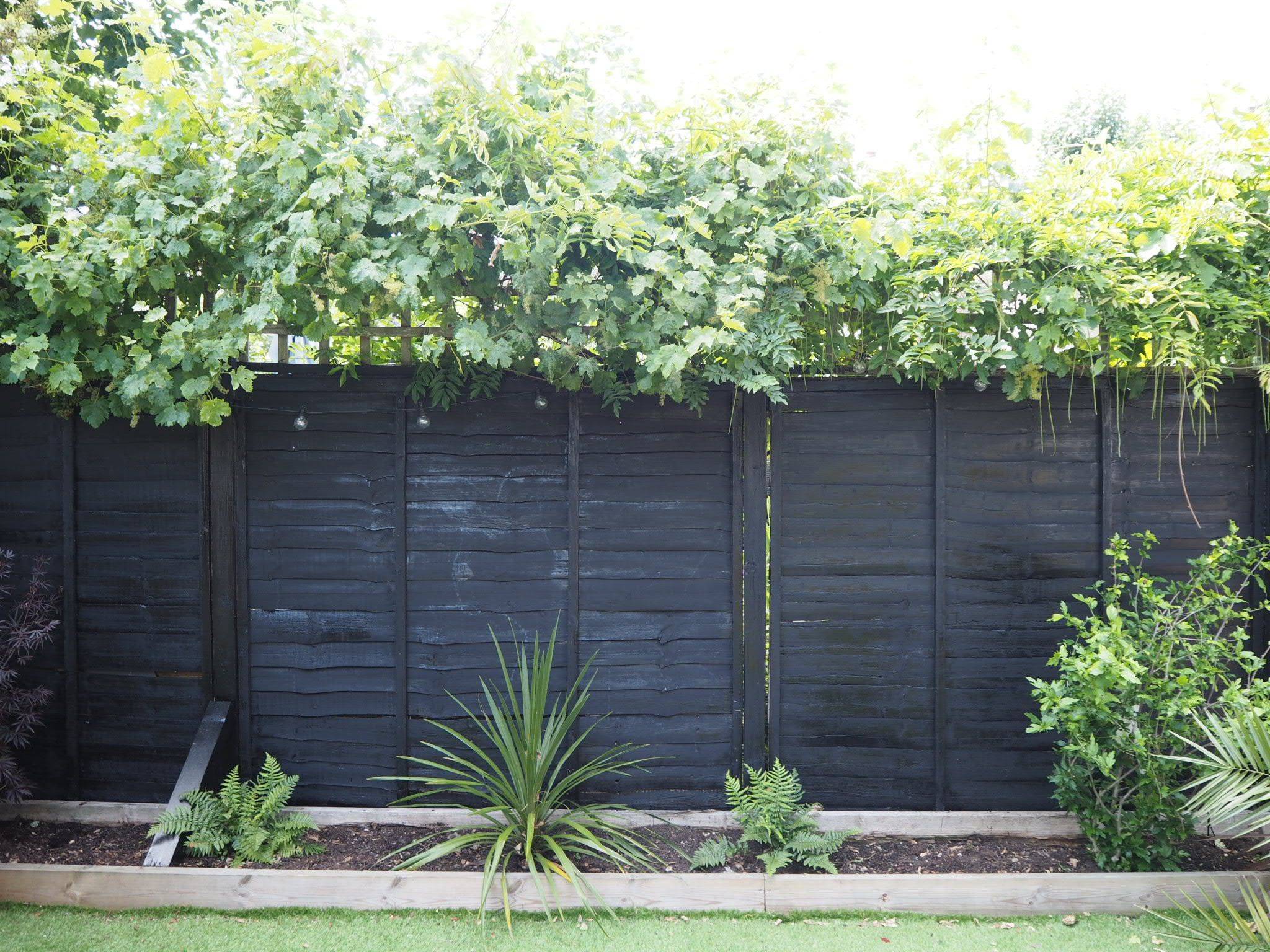 Bold Black Fence Ideas