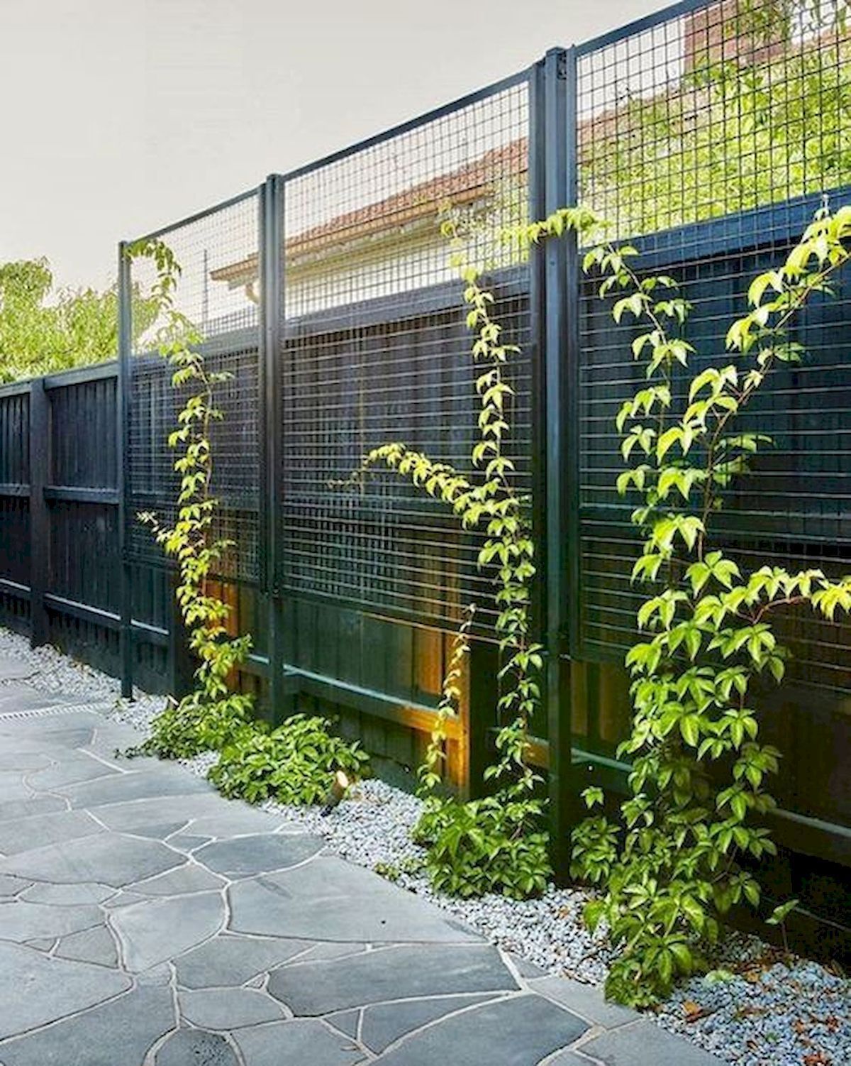 More Modern Fencing Panel Design Ideas