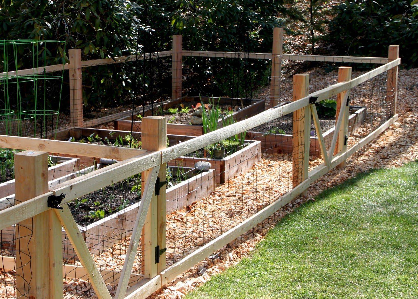 Smart Backyard Fence And Garden Design Ideas