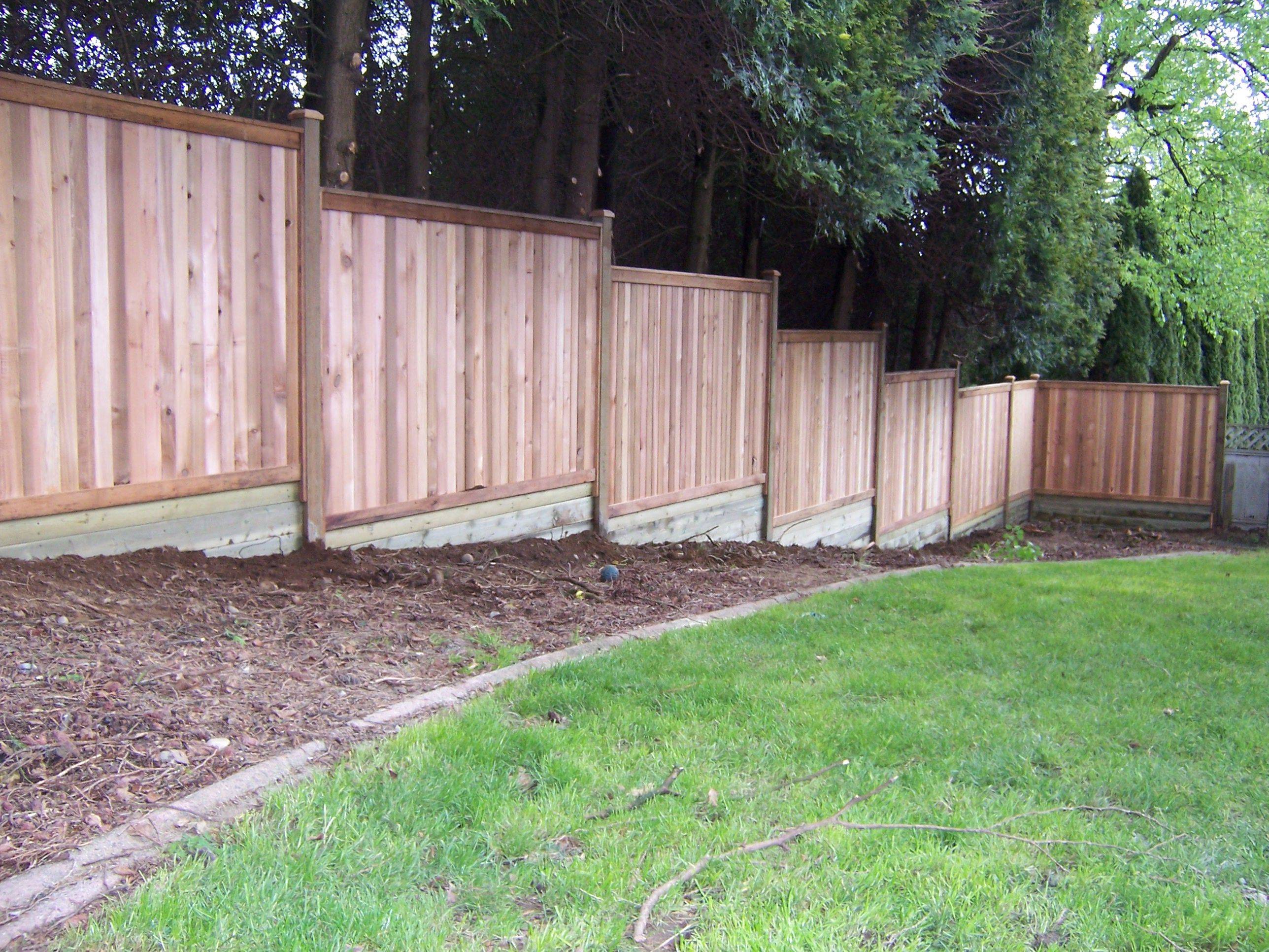 Diy Backyard Privacy Fence Ideas
