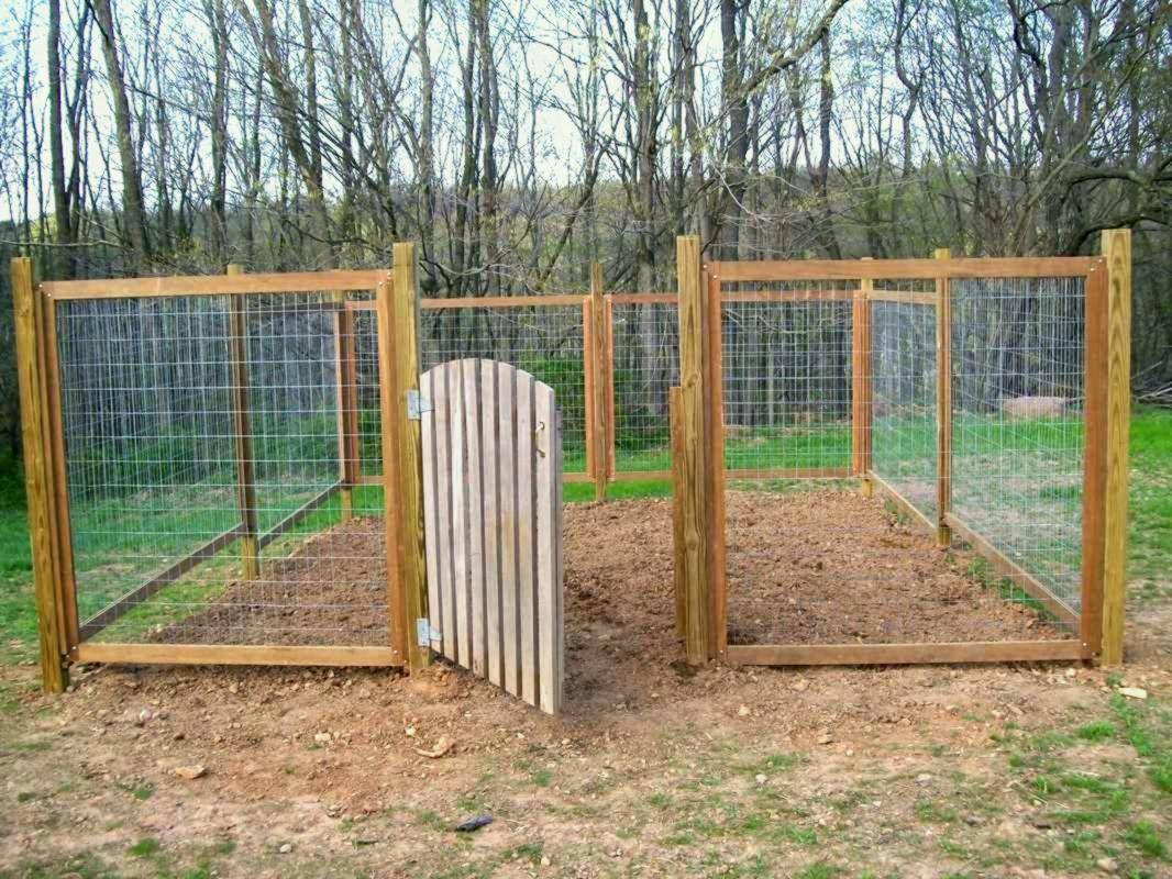 A Deer Fence