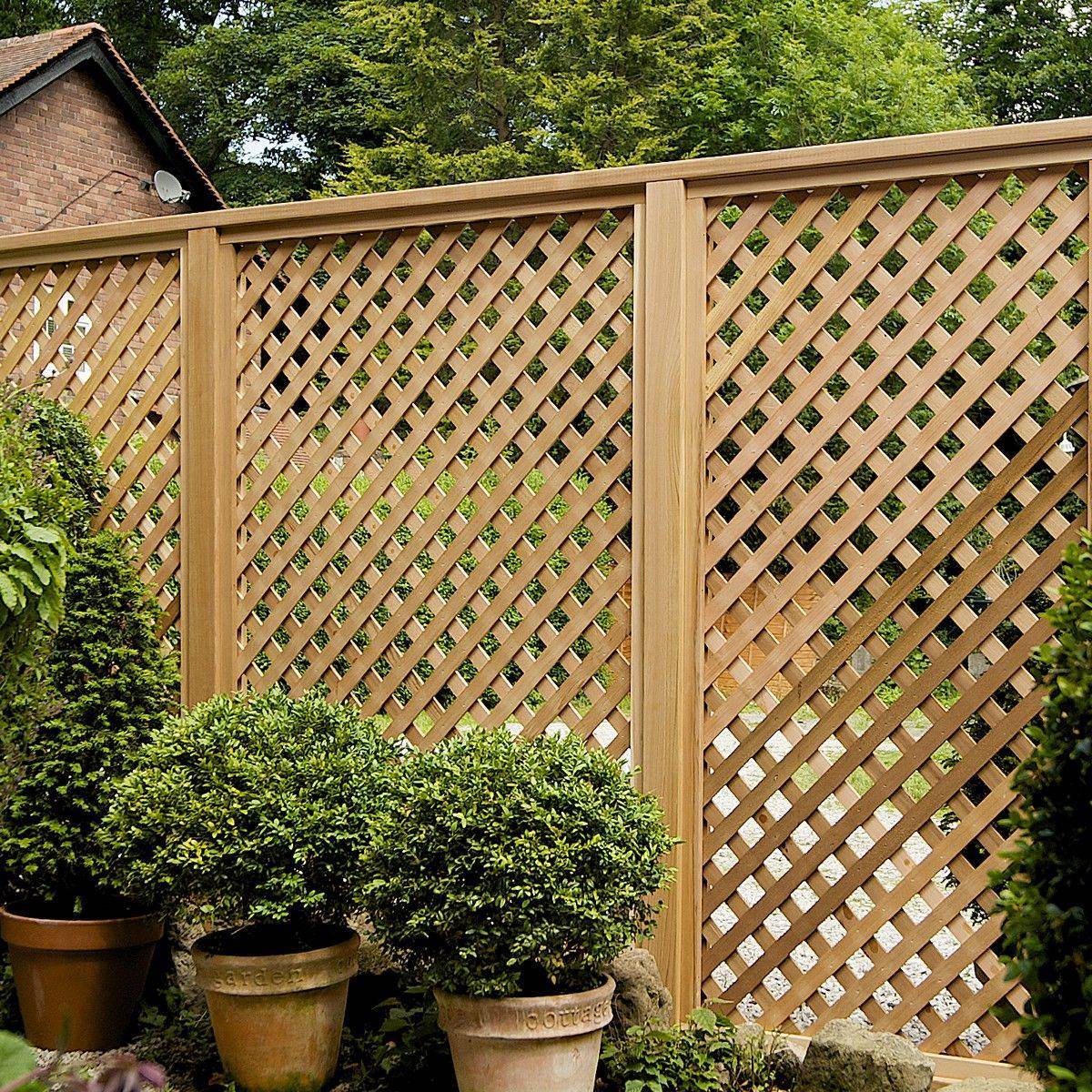 Best Outdoor Privacy Screen Ideas