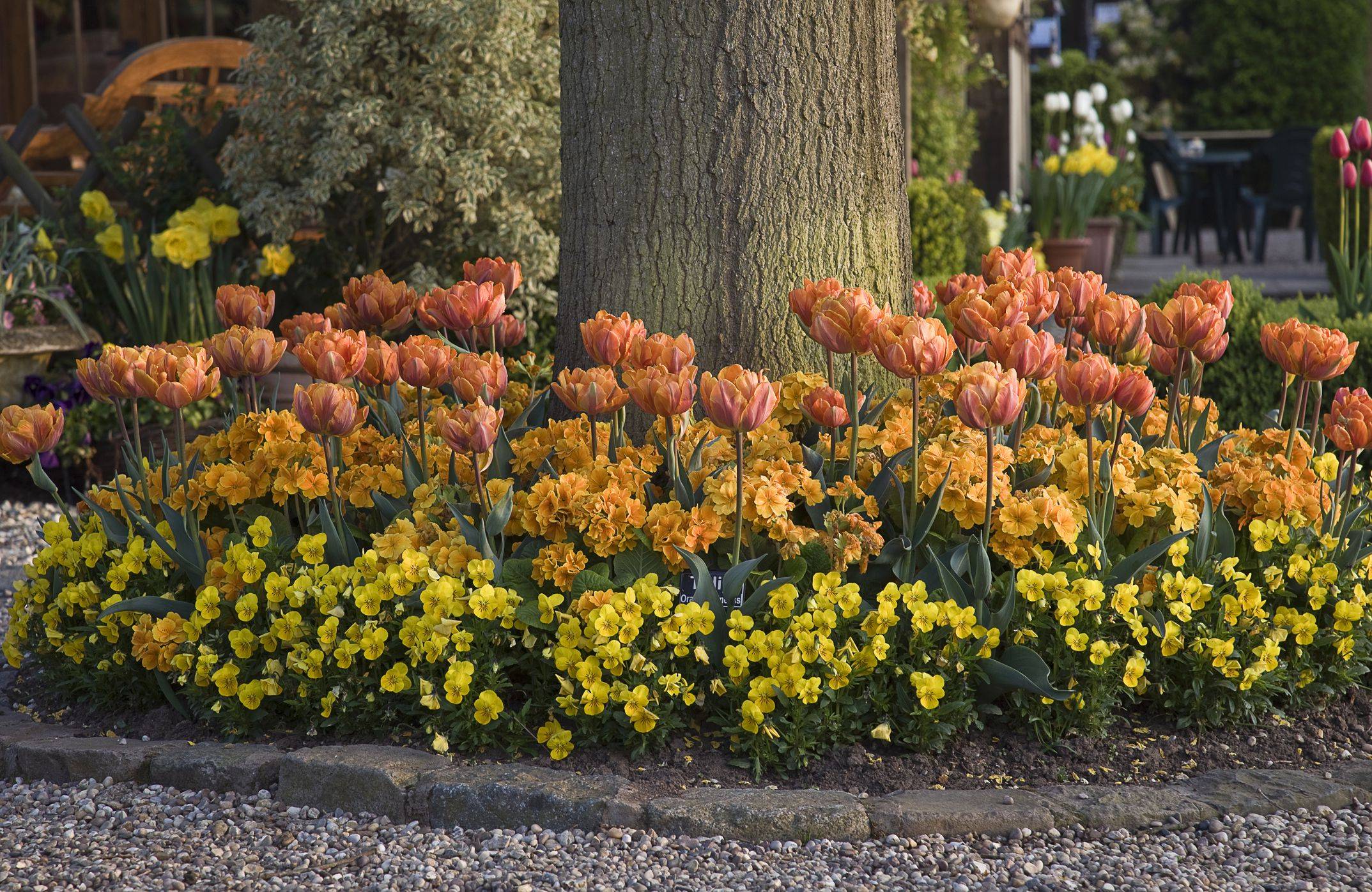 A Tree Garden Design