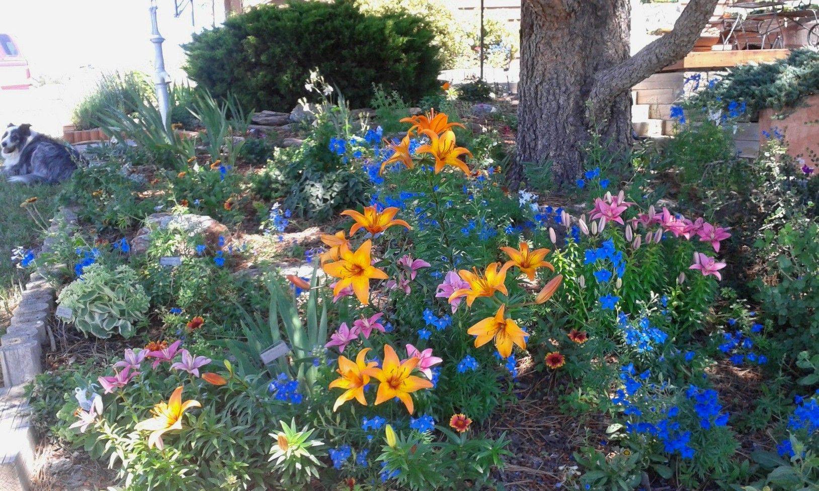 Portfolio Landscape Lights Repair Kits