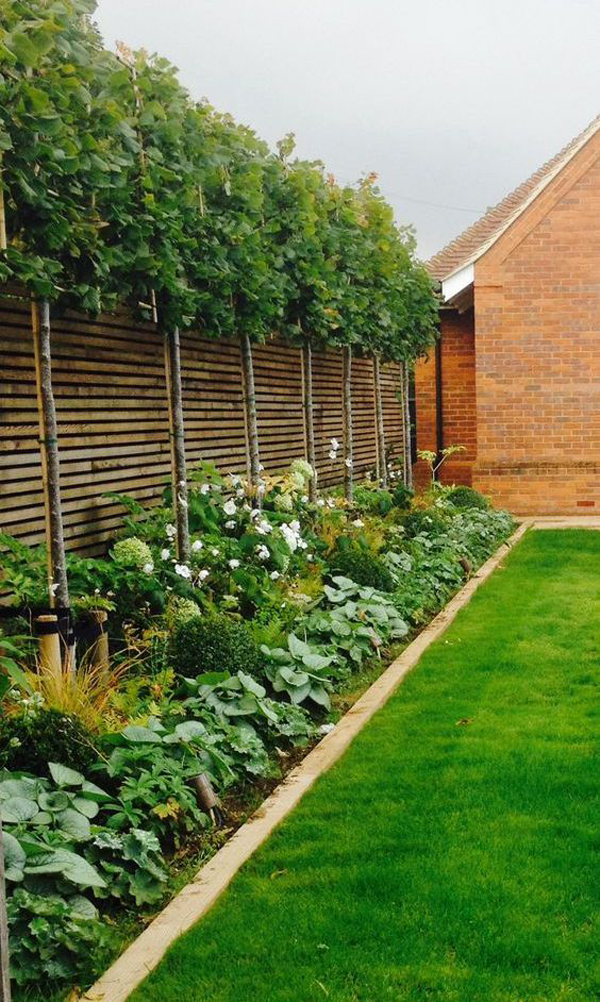 Stunning Privacy Fence Line Landscaping Ideas