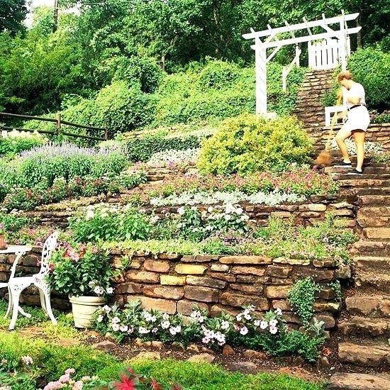 My Hillside Vegetable Garden
