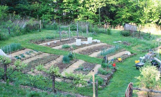Hillside Terraced Garden Landscape Creations Case Study