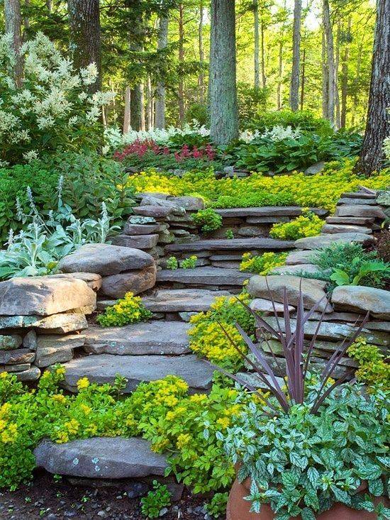 Hillside Vegetable Garden Terrace Design Ideas