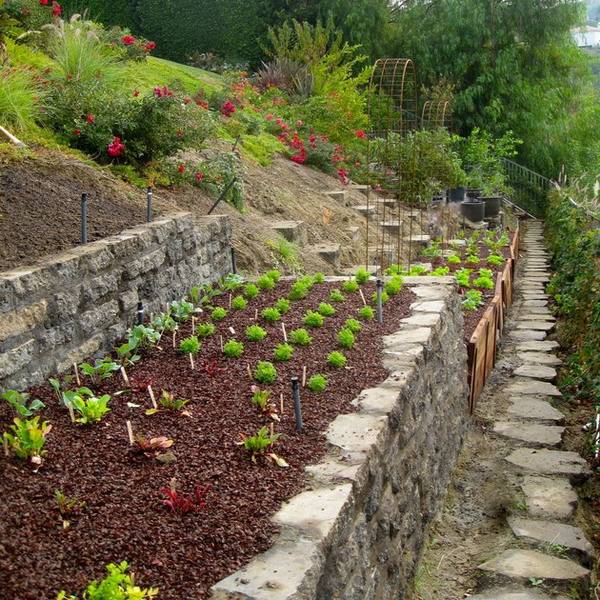 Best Vegetables Garden Ideas