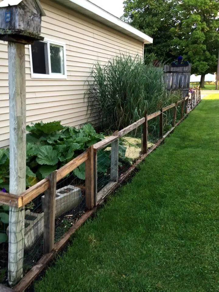 Diy Cheap Fence Ideas