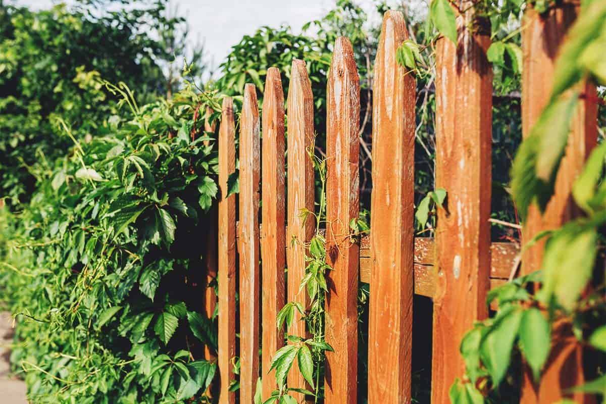 Pallet Garden Fence Diy Easy Pallet Ideas