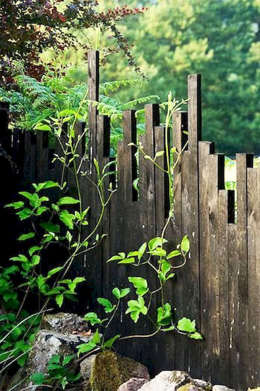 Beautiful Cheap Border